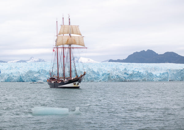 Oosterschelde at Brüggen Glacier