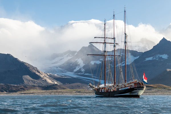 The Oosterschelde in St Andrew's Bay, South Georgia